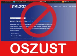 Syncloudex twarz ekran