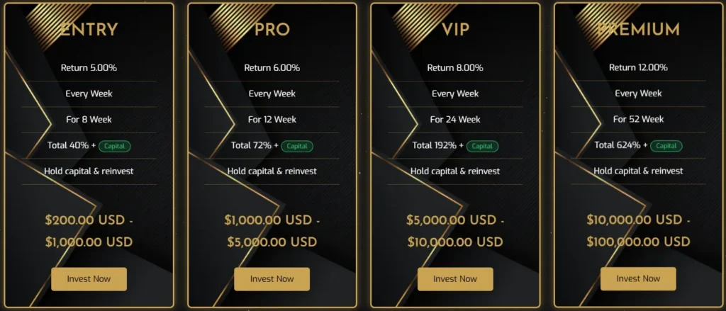 TheFinancialDojo 2 ekran