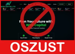 WSN Capital Finance Limited twarz ekran