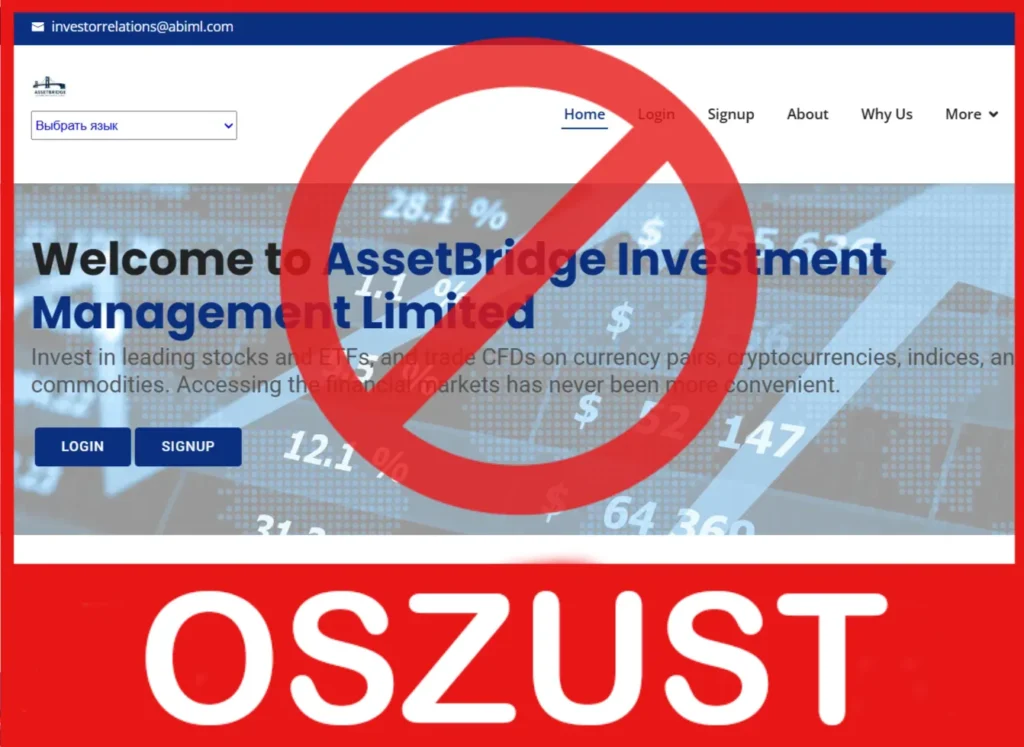 AssetBridge twarz ekran