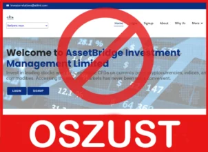 AssetBridge twarz ekran