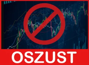 Capital Development Investment Finance twarz ekran