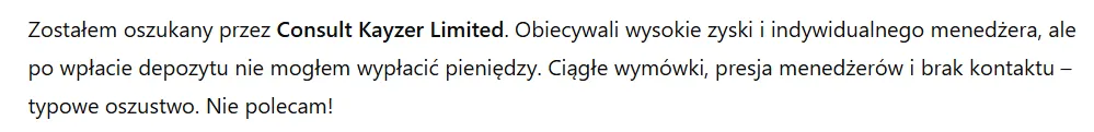 Consult Kayzer Limited 3 ekran