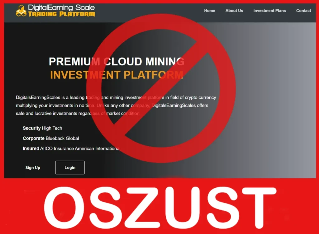 DigitalsEarningScales twarz ekran