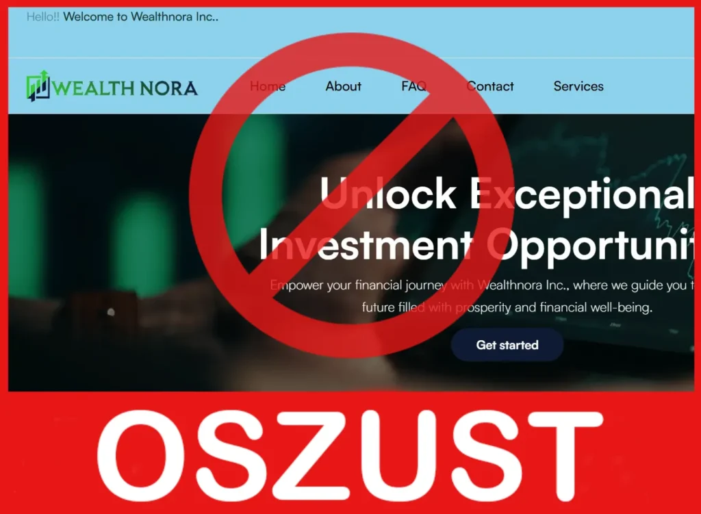 Wealthnora twarz ekran