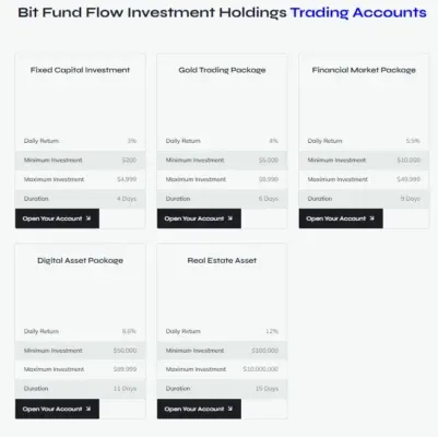 Bit Fund Flow Investment 2 ekran