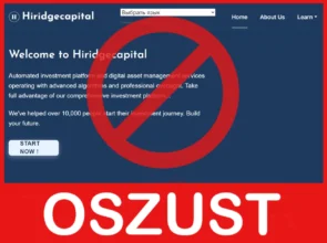 Hiridgecapital twarz ekran