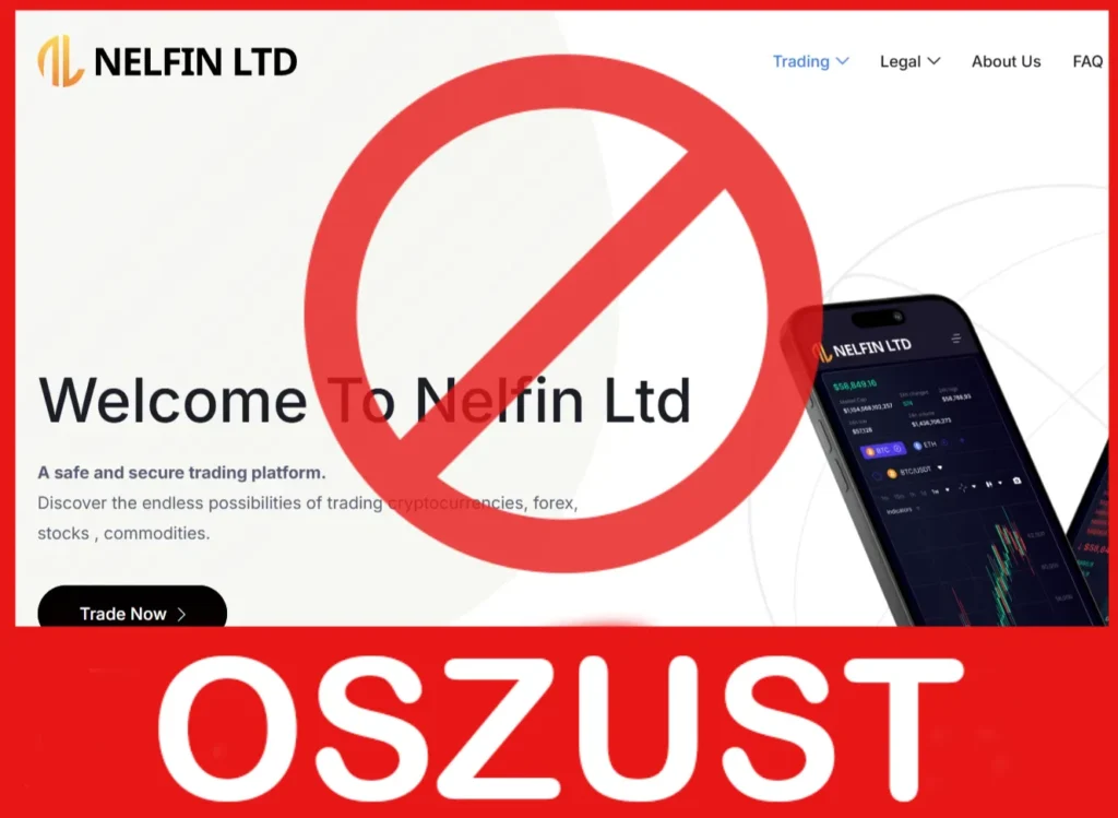 Nelfin Ltd twarz ekran