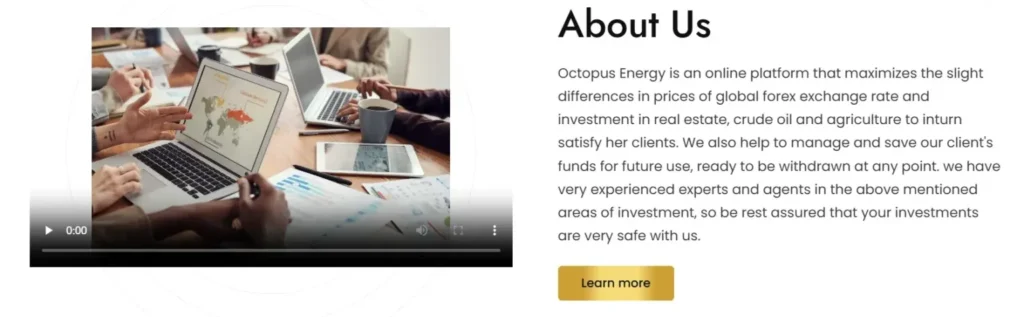 Octopus Energy 1 ekran