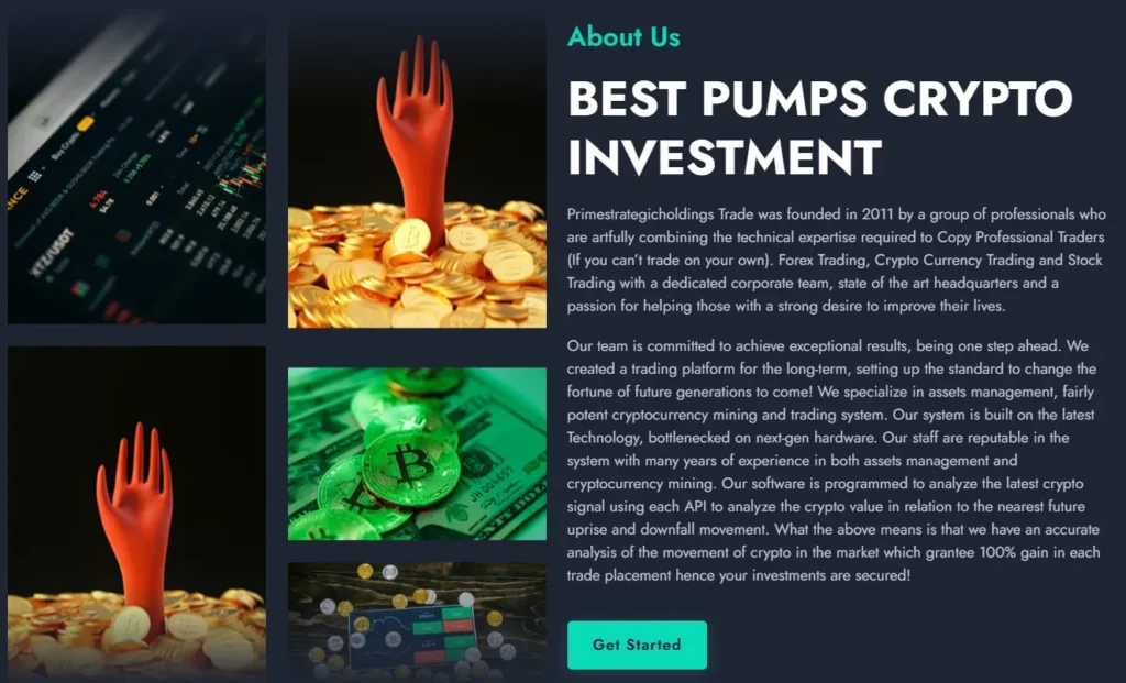 Primestrategicholdings 1 ekran