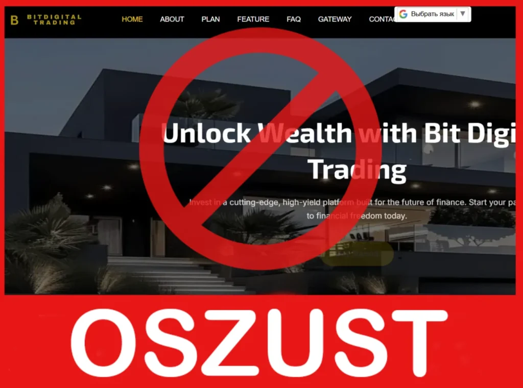 Bit Digital Trading twarz ekran