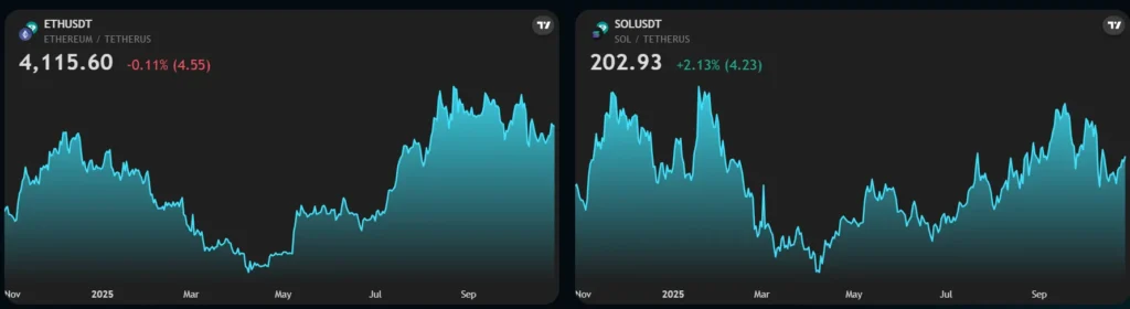 NeoWaySolution 1 ekran