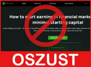 Neta Global przód ekran