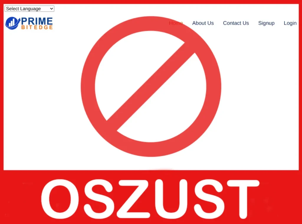 Primebitedge twarz ekran