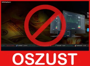 BullishCopyExperts przód ekran