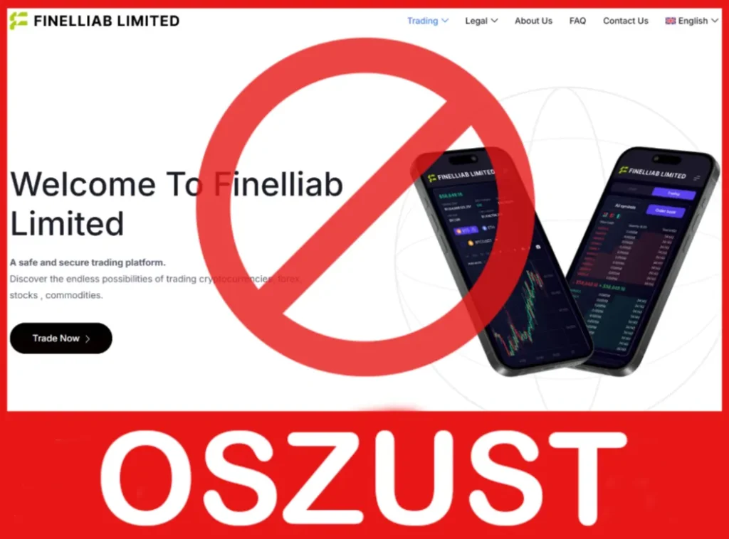 Finelliab Limited przód ekran