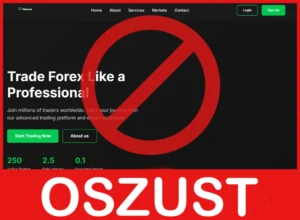 Finxary przód ekran