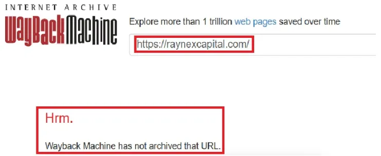 Raynex Capital 2 ekran