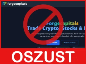 Forgecapitals twarz ekran