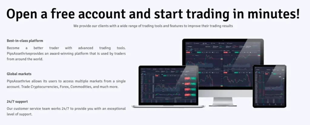 PipsAssethrive 2 ekran